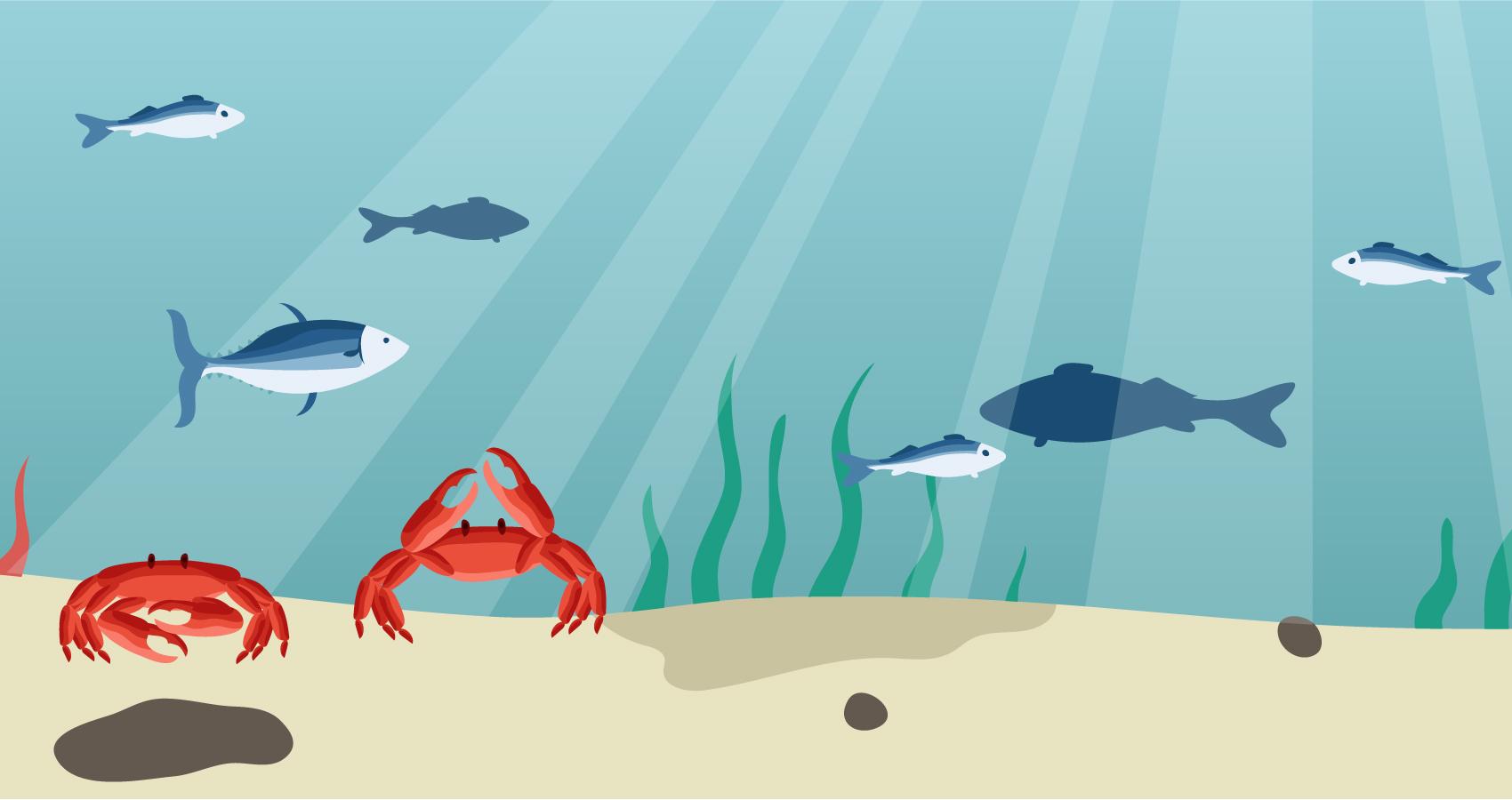 bottom of ocean illustration