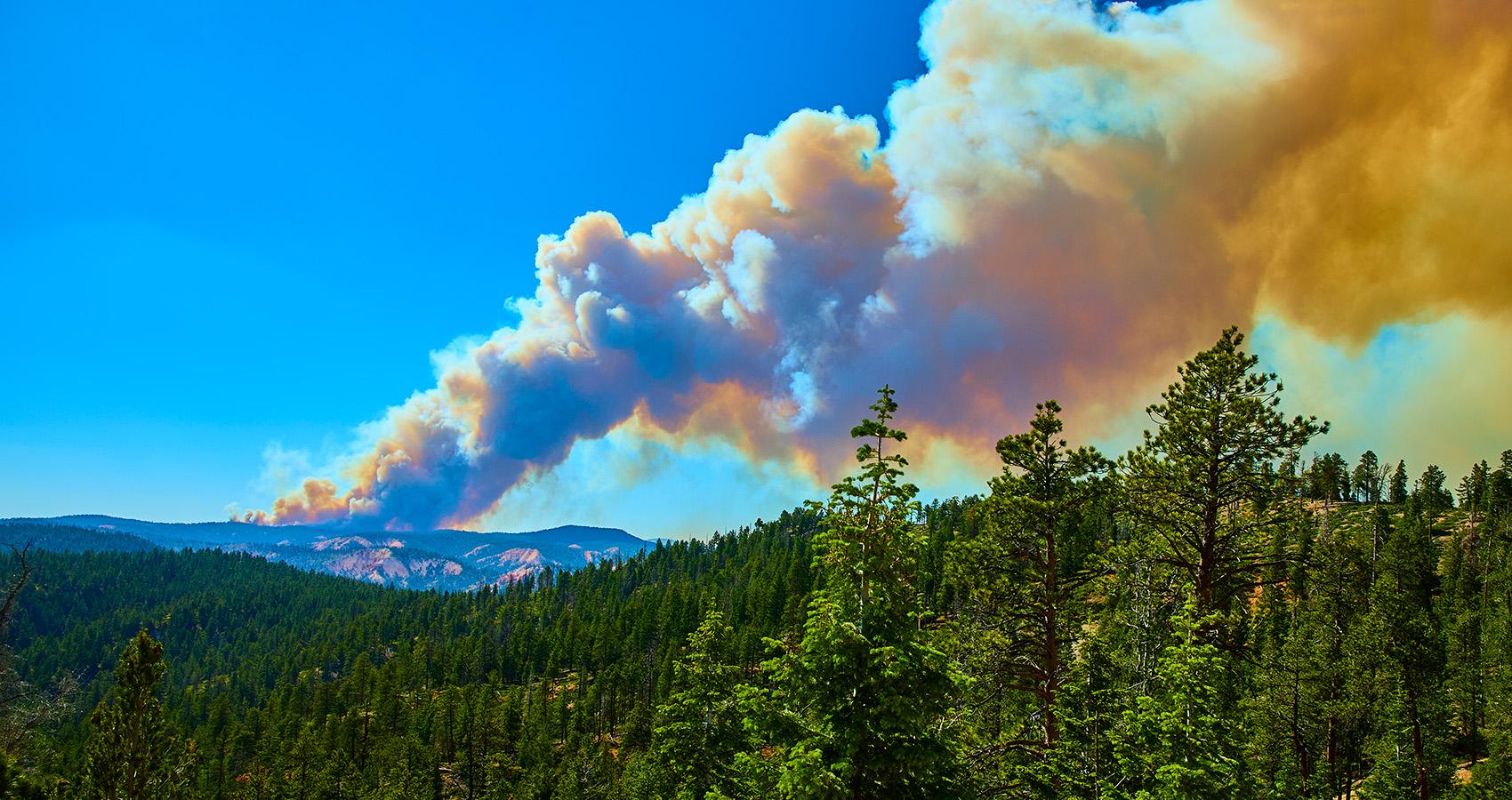 smoke and fire rising from mountain in the distance