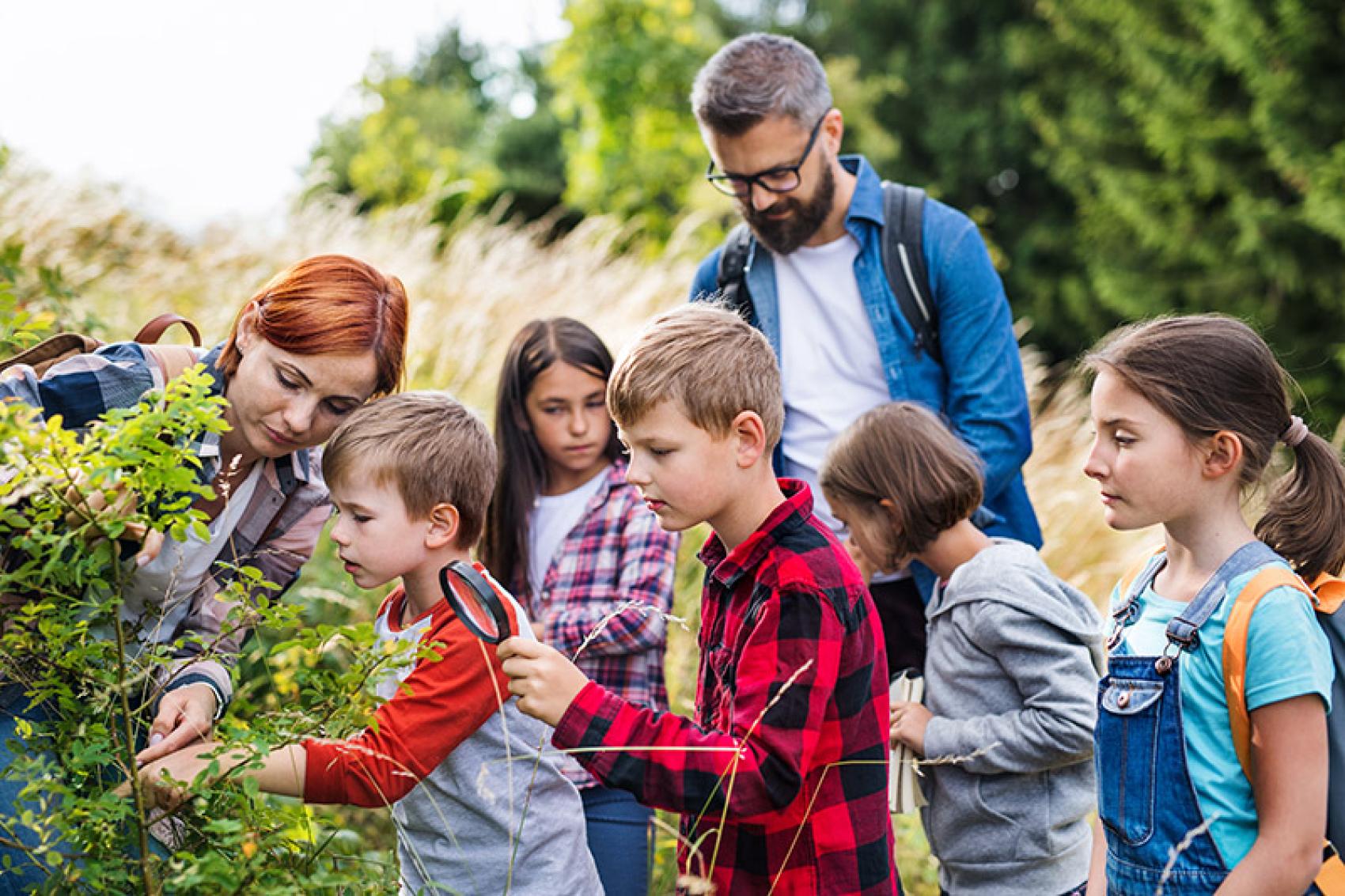 stock photo o kids exploring nature