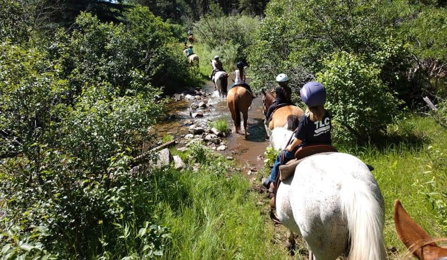 campers riding horses