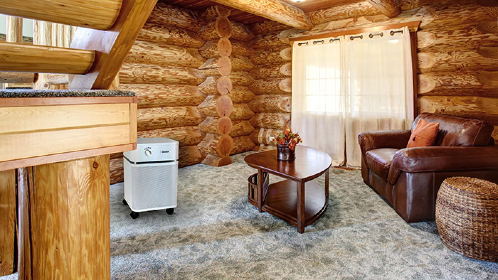 air purifier in a large cabin room
