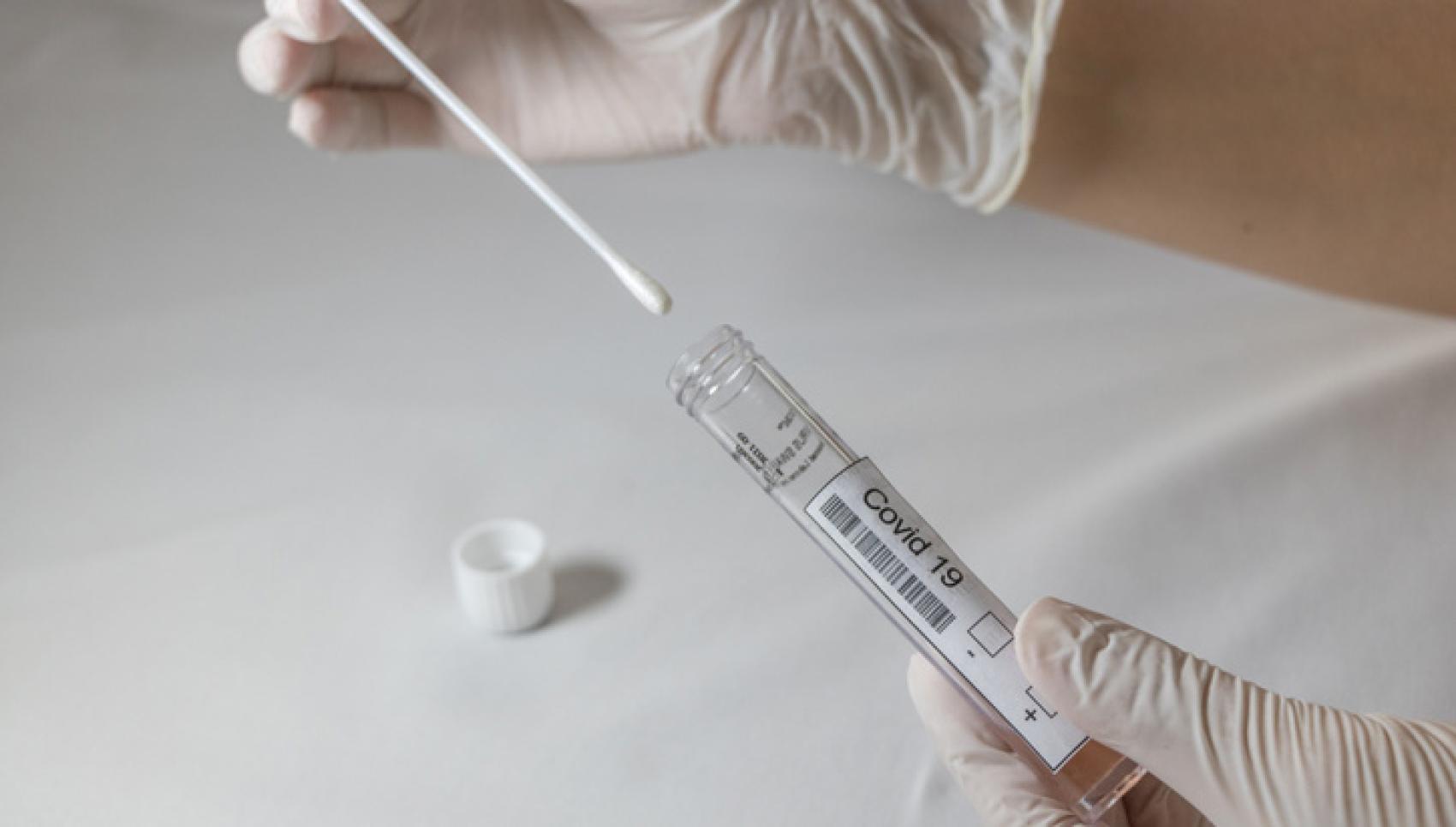 stock photo of COVID-19 testing swab