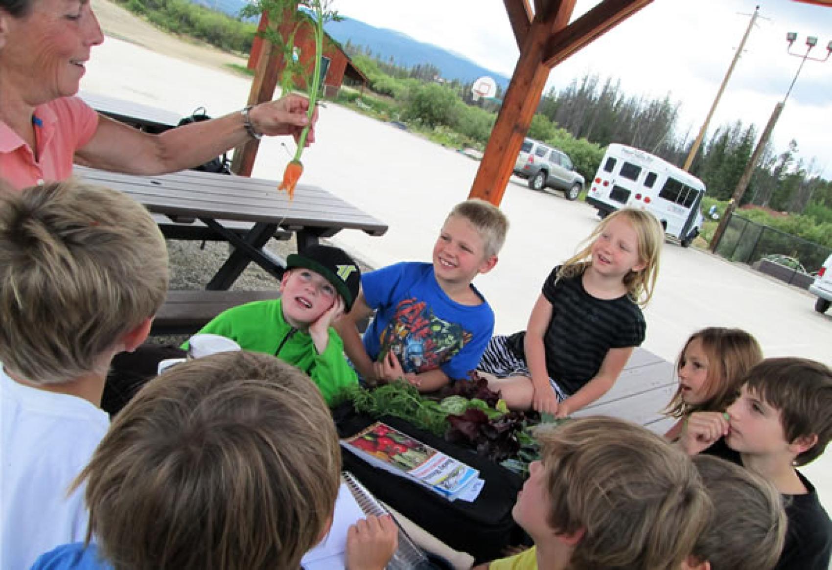 Campers learning about gardening