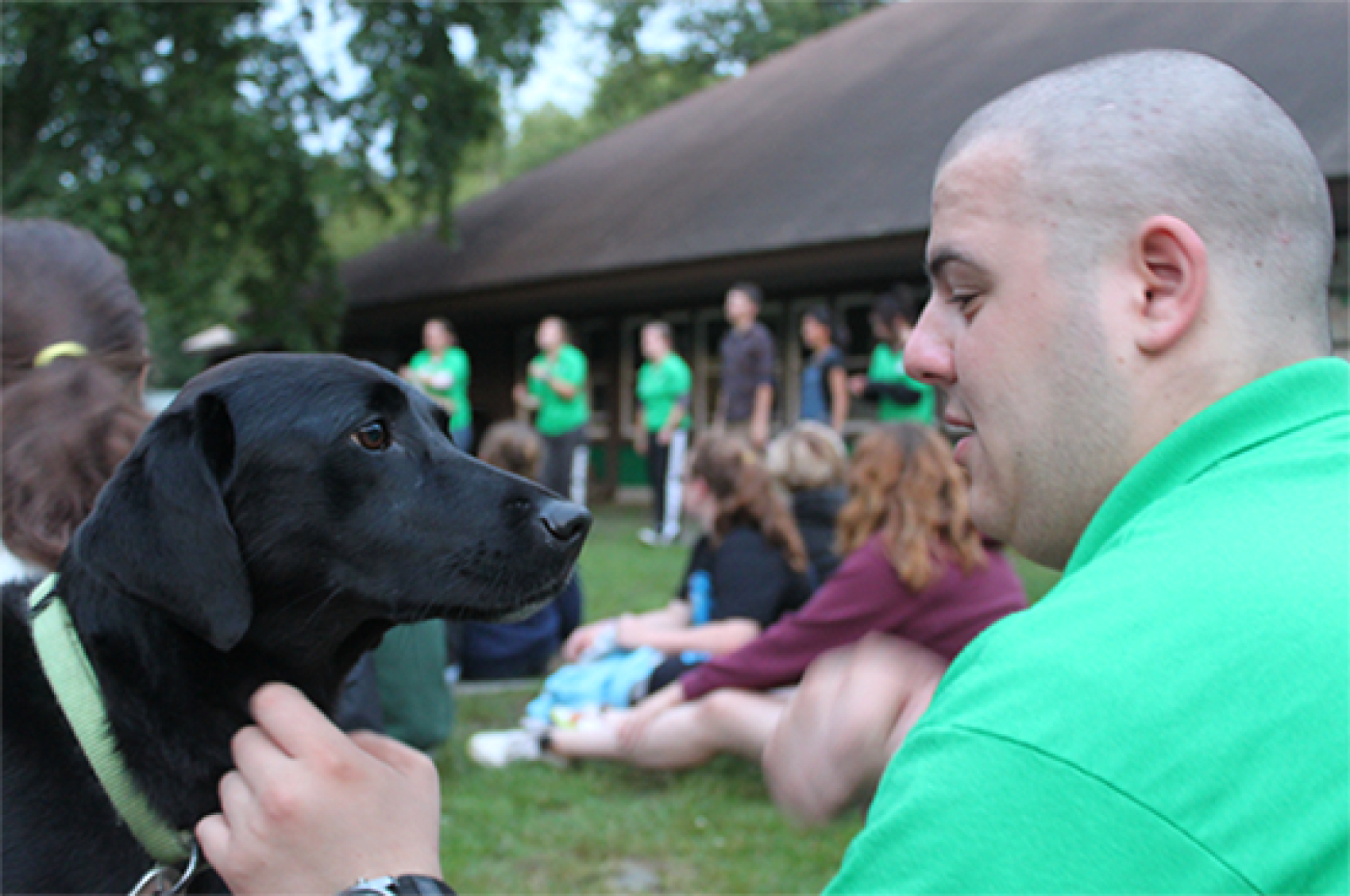 A Guide to Dog Allergies - Camping With Dogs