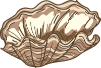 2026 Shell