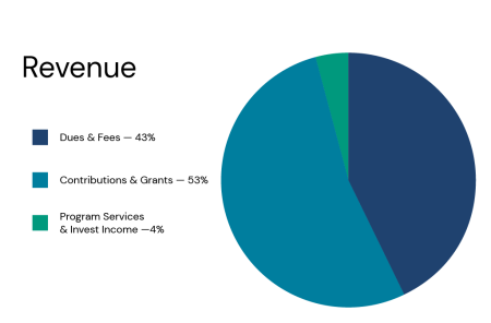 Graph of revenue 2022
