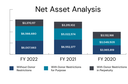 Net Asset graph