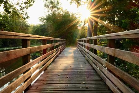 bridge