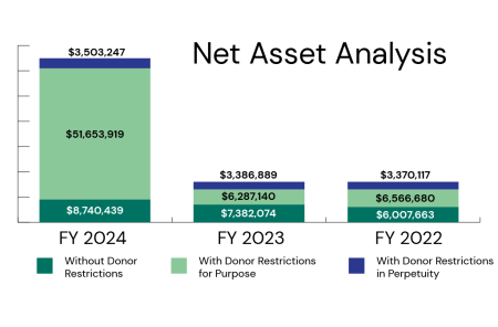 2024 Net Asset Analysis graph