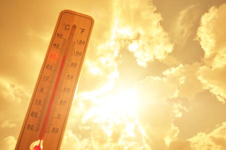 Thermometer 