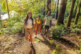 Young adults walking on trail in woods