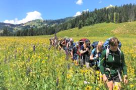 Backpackers hiking through wildflowers