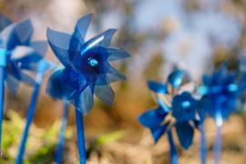 Blue pinwheels