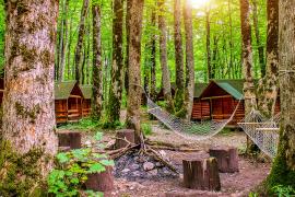 cabins in the woods