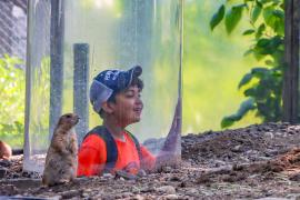 Camper at the zoo
