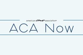 ACA Now Landing Page Graphic