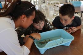 counselor with campers looking at objects in water