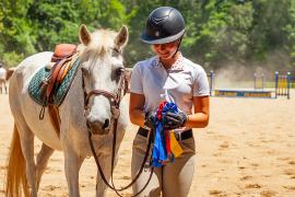 helmeted person holding ribbons standing with horse