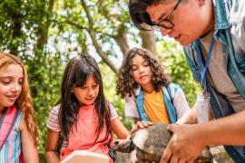 campers with tortoise