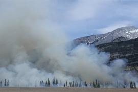 wildfire smoke