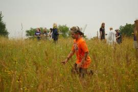 Campers in field with tall grass