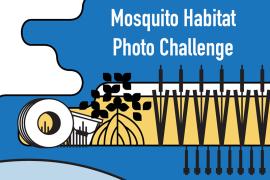 Mosquito Habitat Photo Challenge illustration