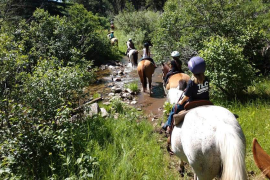 campers riding horses