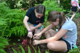 campers exploring nature