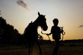 Silhouette of a camper and horse at sunset